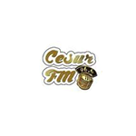 CESUR FM